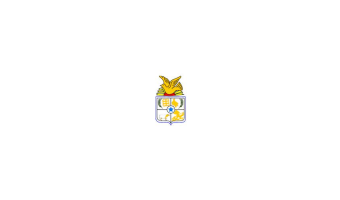 Prefeitura de Juruti - PA - Prefeitura Municipal de Juruti - PA