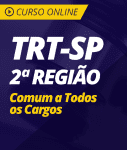 Curso Online TRT-SP 2ª Região - Comum a Todos os Cargos