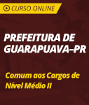 Curso Online Prefeitura de Guarapuava - PR  - Comum aos Cargos de Nível Médio II