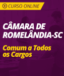 Curso Online Câmara de Romelândia - SC  - Comum a Todos os Cargos