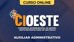 CIOESTE-SP-AUXILIAR-ADMIN-CUR202301651