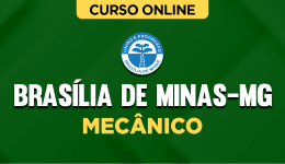PREF-BRASILIA-MINAS-MECANICO-CUR202401973