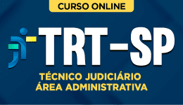 TRT-SP-TECNICO-JUD-ADM-CUR202402112