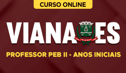 PREF-VIANA-ES-PROF-ANOS-INIC-CUR202502565